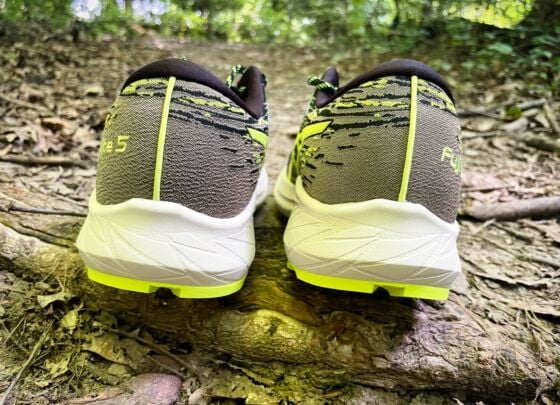 Picture of ASICS Fuji Lite 5