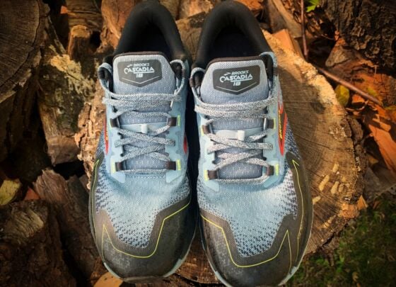 Picture of Brooks Cascadia 18