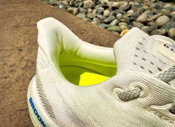 Picture of Brooks Glycerin Max