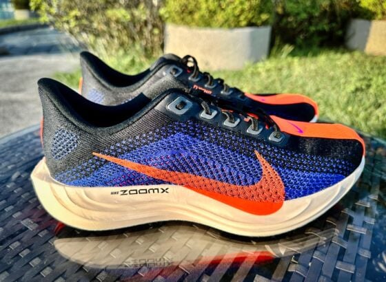 Picture of Nike Pegasus Plus