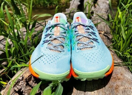Picture of Nike Pegasus Trail 5