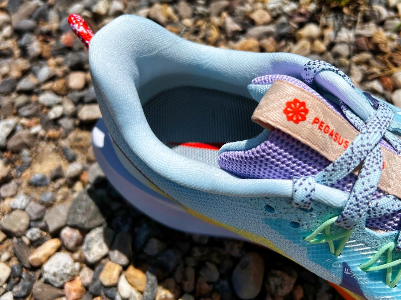 Picture of Nike Pegasus Trail 5